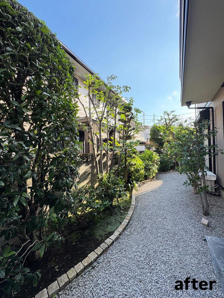 画像2288
