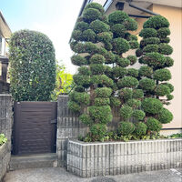 画像2290