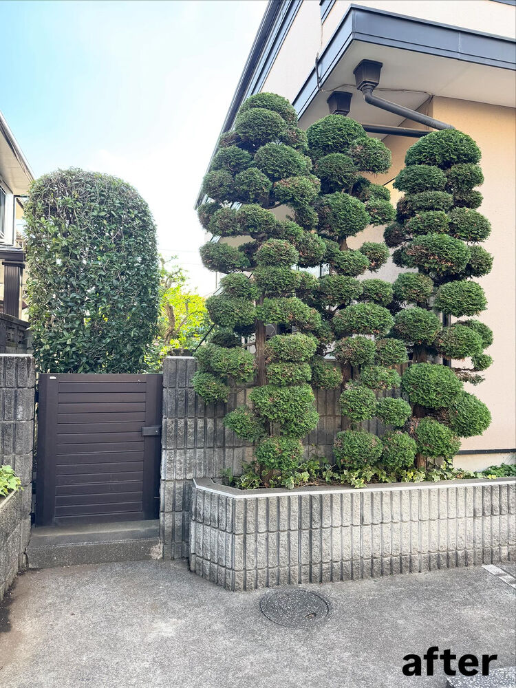 画像2290