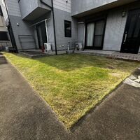 画像2542