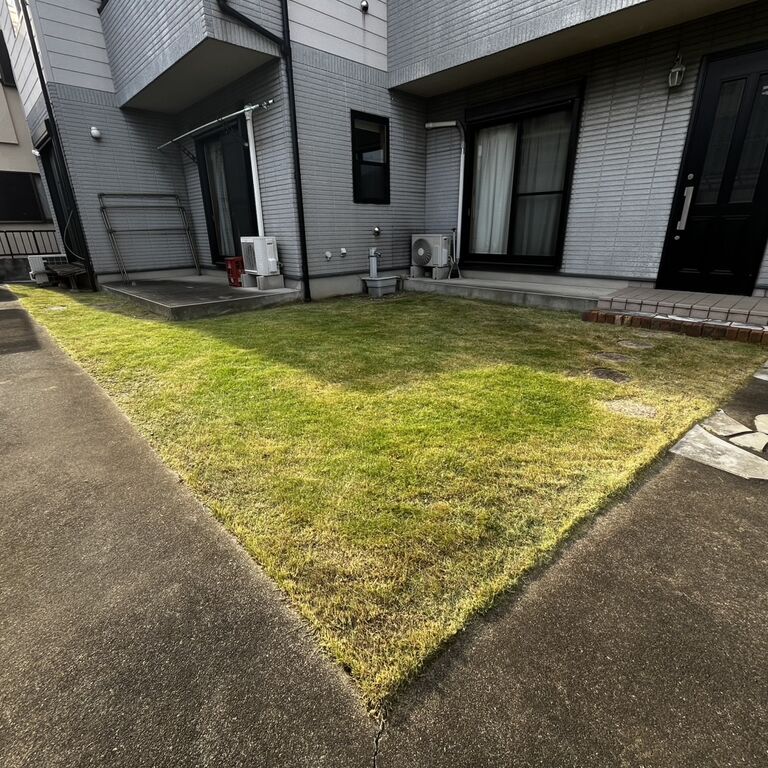 画像2542
