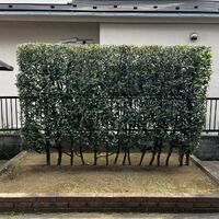 画像2543