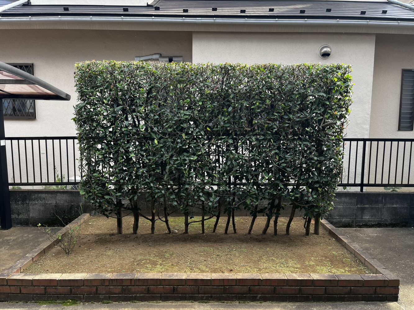 画像2543