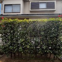 画像2545