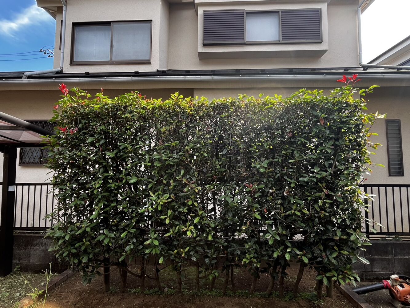 画像2545