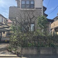 画像2554
