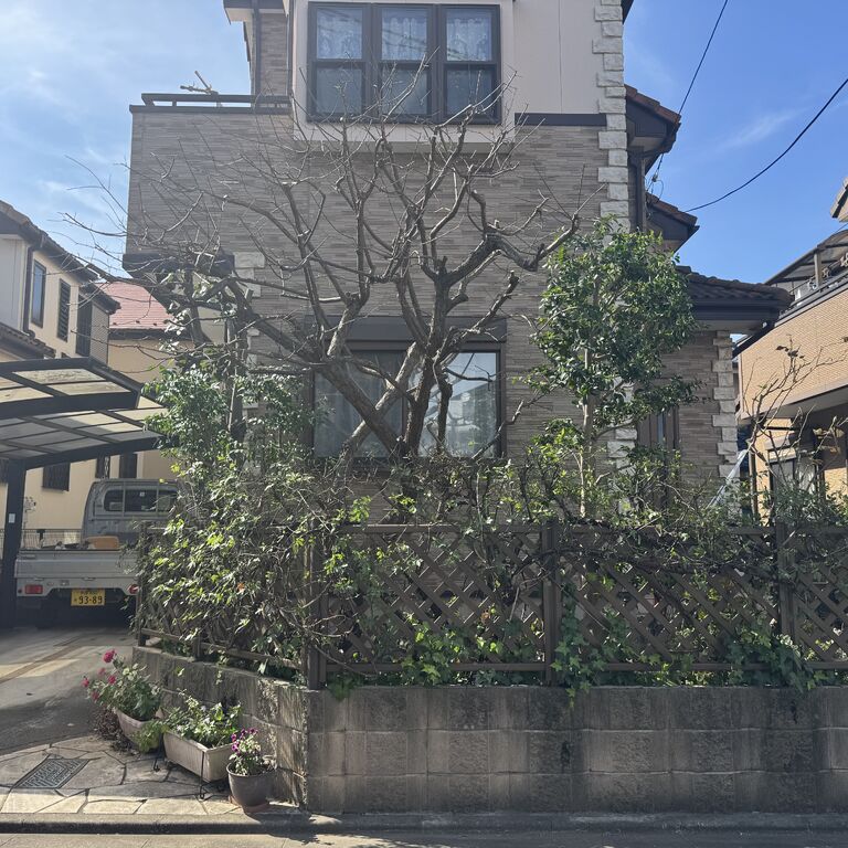 画像2554