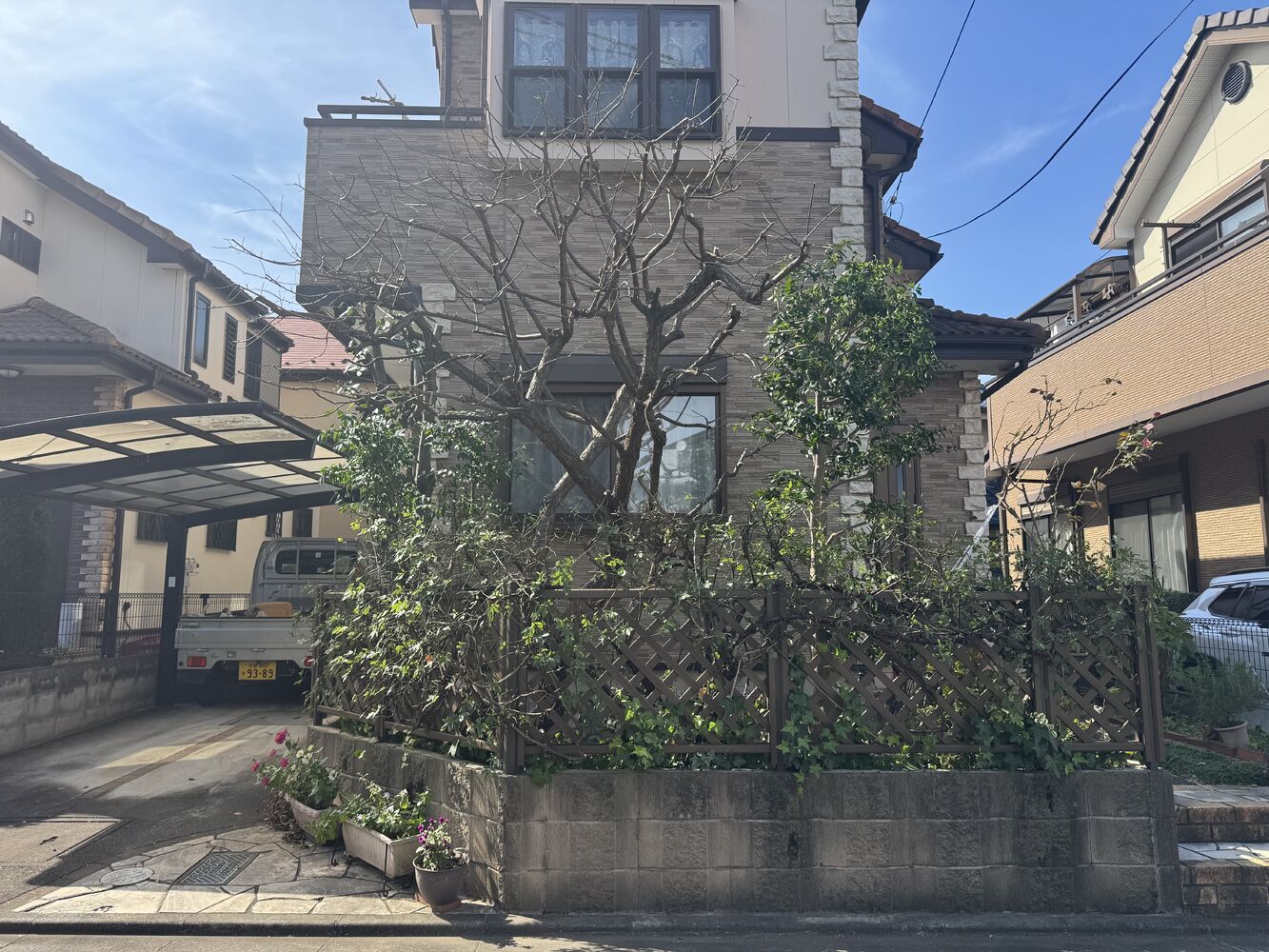 画像2554