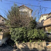 画像2555