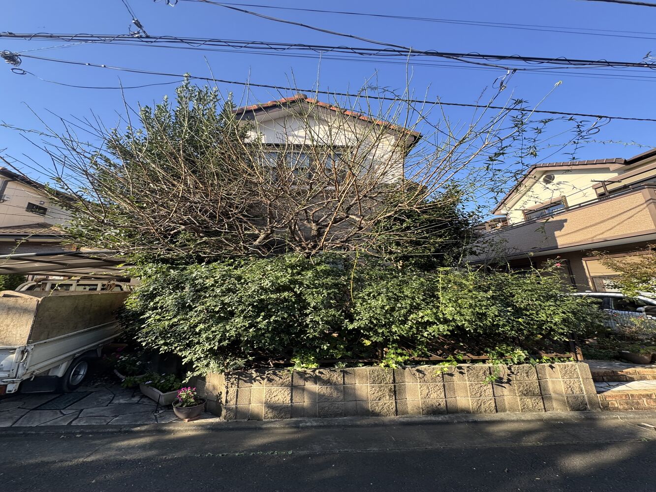 画像2555